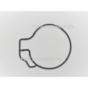 Прокладка вакуумного насоса Mazda PE0110673