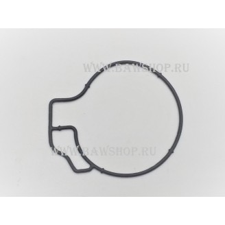 Прокладка вакуумного насоса Mazda PE0110673