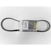 Ремень поликлиновый Mazda PE0815909C