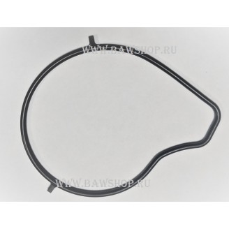 Прокладка водяного насоса Mazda ZJ0115106