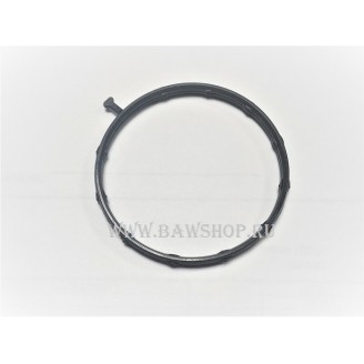 Прокладка водяного насоса Mazda ZJ0115169